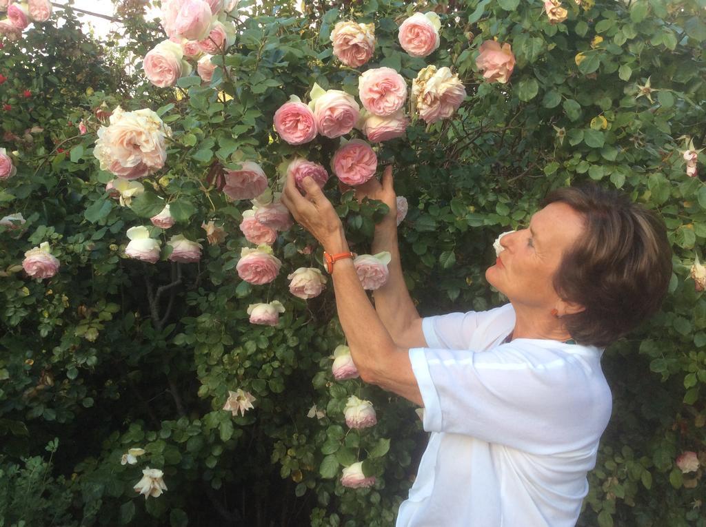 La Villa Rosalie Ventabren ภายนอก รูปภาพ